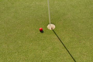 Pin, hole and ball of a minigolf course.