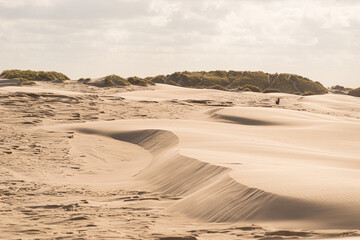 Fine texture and lines of sandy dunes in a desert.
