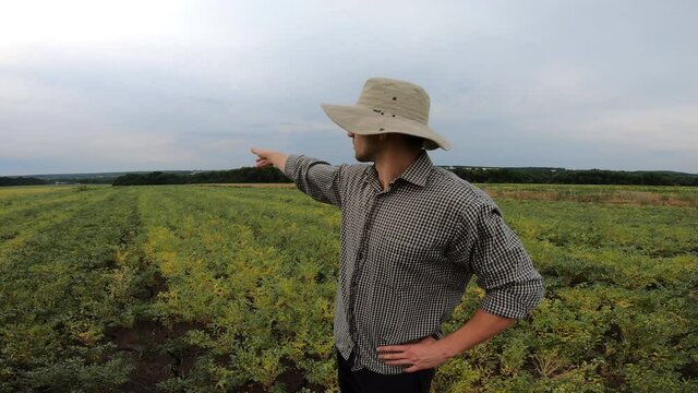 Young agronomist standing on garbanzo field and giving interview about farmland agriculture. Male farmer pointing with hand on his green chickpea meadow and talking about seasonal crop. Slow motion