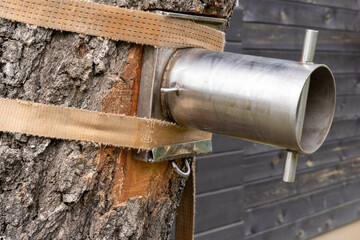 arborist sawing instrument - rogging lowering port