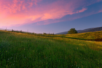 Fototapeta na wymiar Beautiful summer sunset landscape at Carpathian mountains. Green grass mountains slope with wooden farm hedge under the majestic blue sky with pink clouds. Ukraine.