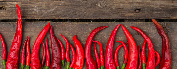 Banner with red hot peppers arranged in a line at the bottom. Wooden old background with boards.