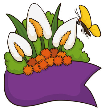 Floral arrangements with anthuriums, pom poms butterfly and ribbon, Vector illustration