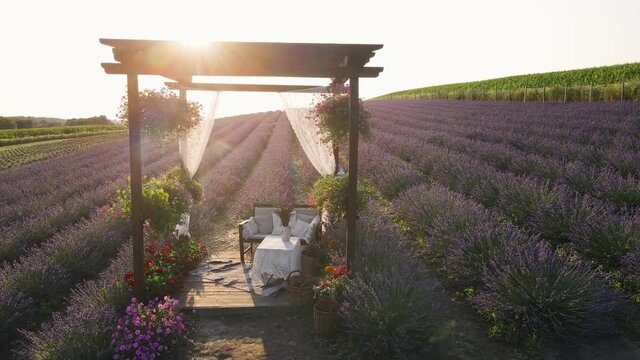 Decorative summer house on a field of purple lavender flowers planted in a row