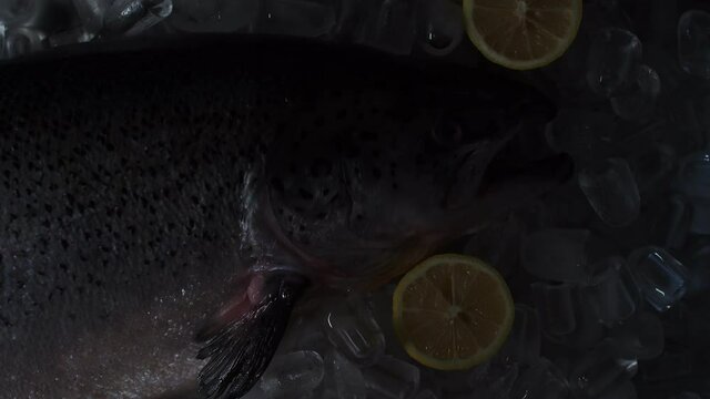 Fish Is Lying In Ice With Lemon. Concept Of Proper Food Storage In A Restaurant.