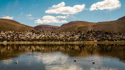 Atacama Desert - San Pedro de Atacama - Landscape