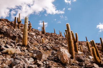 Atacama Desert - San Pedro de Atacama - Landscape