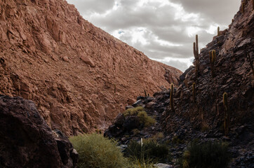Atacama Desert - San Pedro de Atacama - Landscape