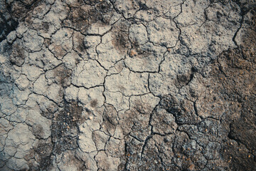 cracks in the ground