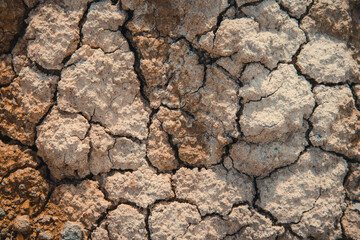 dry cracked earth