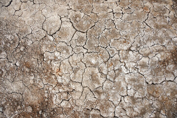 cracks in the ground dry ground
