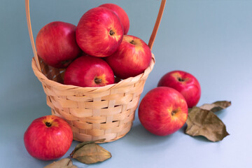 Basket full of red juicy freshly picked apples on blue background. Close up view of organic vegetarian fruits