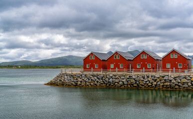 Obraz premium colorful red wooden houses on the oceanfront in the Lofoten Islands of Norway