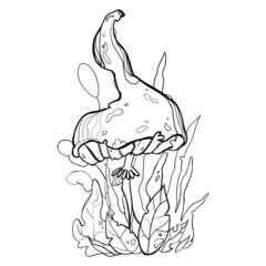 coloring book for children. stylized black line mushrooms.