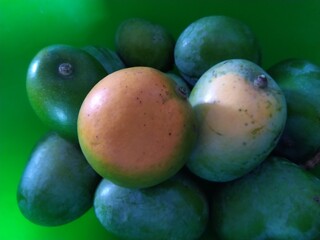 Mango on the table  