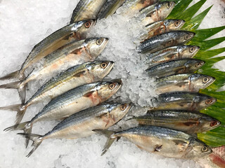 fresh mackerel fish at the supermarket