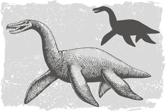 Dinosaur plesiosaurus grafic hand drawn and silhouette illustration