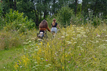 wildblumen in einem biotop in rheinhessen