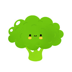 Cute funny broccoli vegetable with face. Vector cartoon kawaii doodle character illustration icon. Broccoli green vegetable cartoon character mascot concept. Isolated on white background