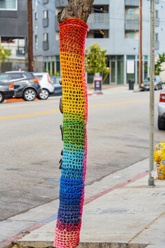 Close up shot of a tree trunk wrapping with rianbow material