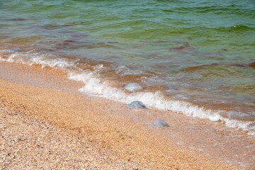 Summer evening on a beach of Azov Sea in summer