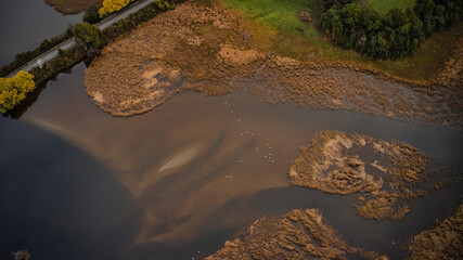 Humedal del sector de Niebla y Torobayo, este sector tiene juncos donde habitan cisnes de cuello negro y garzas.