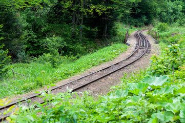 Narrow-gauge railway in Majdan, narrow-gauge railway, Bieszczady Mountains, Cisna