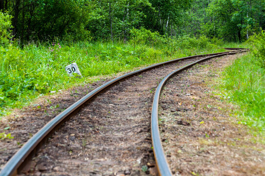 Narrow-gauge railway in Majdan, narrow-gauge railway, Bieszczady Mountains, Cisna