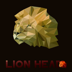 Vector illustration of polygonal lion head isolated on dark background. Low poly animal. Only triangle shape. It's may be a creative logo or decorative element for your design © Alexander