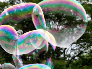 at the party, several large round multicolored bubbles are flying against the background of green trees