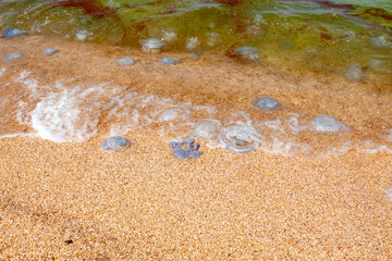 Summer evening on a beach of Azov Sea in summer