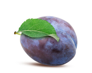 Plum isolated on white background with clipping path
