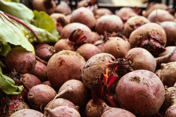 Fresh Organic Beets