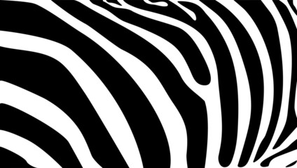 Fototapeta na wymiar Vector background with zebra skin texture Black and White pattern.