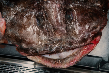 Raw Monkfish Head Display