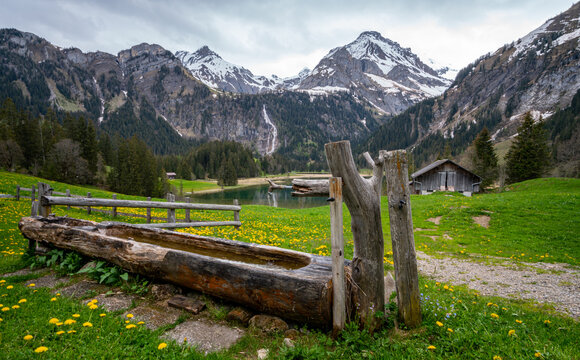 Lauenensee - Lauenen lake in the Swiss alps in spring with beautiful flowers around