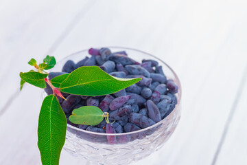Blue honeysuckle berries in a glass cup on a white wooden table on a sunny day