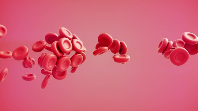 3D render of blood cells. Loop 4K video for your design. 