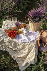 Beautiful picnic on blooming lavender field. Romantic morning breakfast with violet flowers, strawberries, baguette and cheese. 