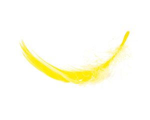 Yellow fluffy elegance feather isolated on the white background