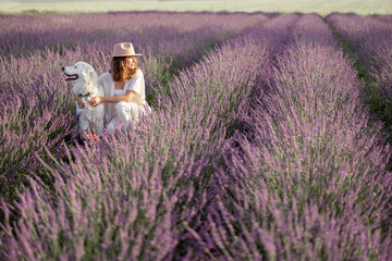Woman sitting with dog on blooming lavender field with bucket of flowers and enjoying the beauty of...