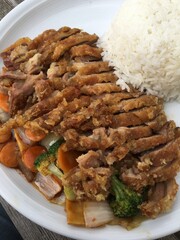 Chinesische Ente mit Gemüse. Knusprige Ente mit Chop Suey.