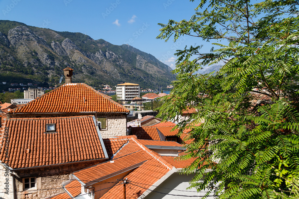 Wall mural red tile roofs on the old town of kotor, montenegro.