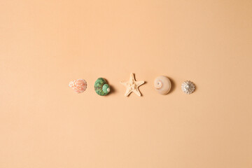 Seashells and starfish in line on brown background with space for text.