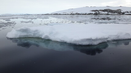 Iceberg in Antarctica
