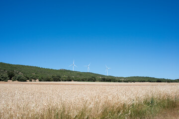 Fototapeta na wymiar Wind energy generation near crop fields in Guadalajara, Spain . Renowable energy.