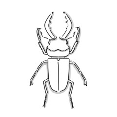Japanese beetle illustration. Hand drawn sketch. Japanese insects and bug collection. Vector illustration of Japanese icon. Graphic design elements. Isolated objects. 