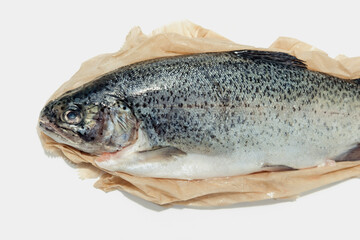 Rainbow trout for African red stew