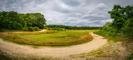 Curved dirt road in the wooded green field. Dramatic clouds and tranquil agricultural meadow on Cape Cod.