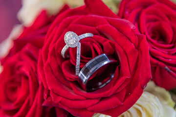 wedding rings on red rose